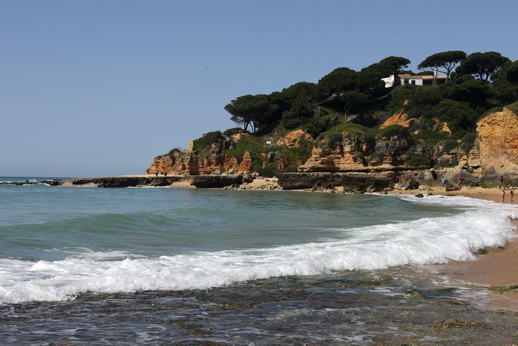 Bed and Breakfast Mira Parque Albufeira Zewnętrze zdjęcie